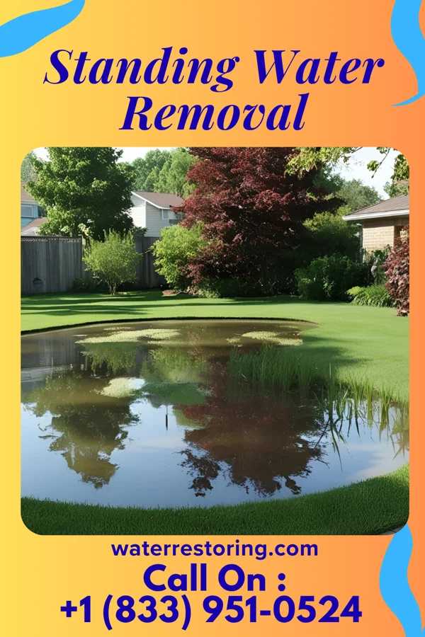 Standing Water Removal in Chester, AR